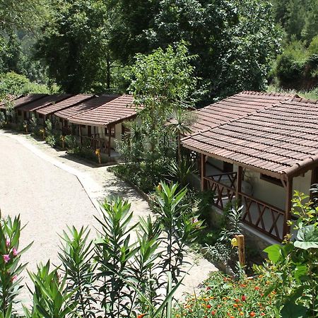 Hôtel Eco Family Park à Beskonak Extérieur photo