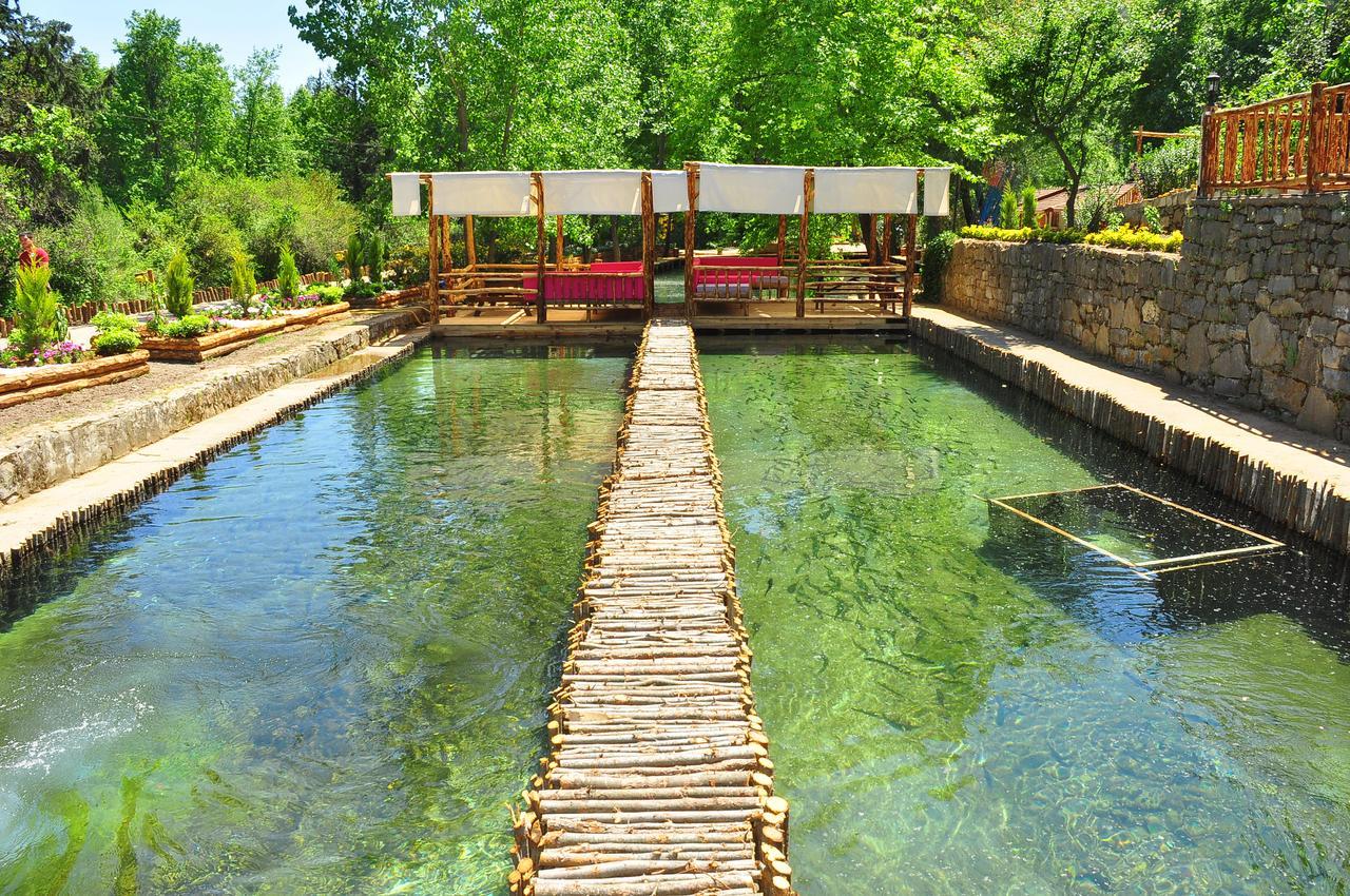 Hôtel Eco Family Park à Beskonak Extérieur photo