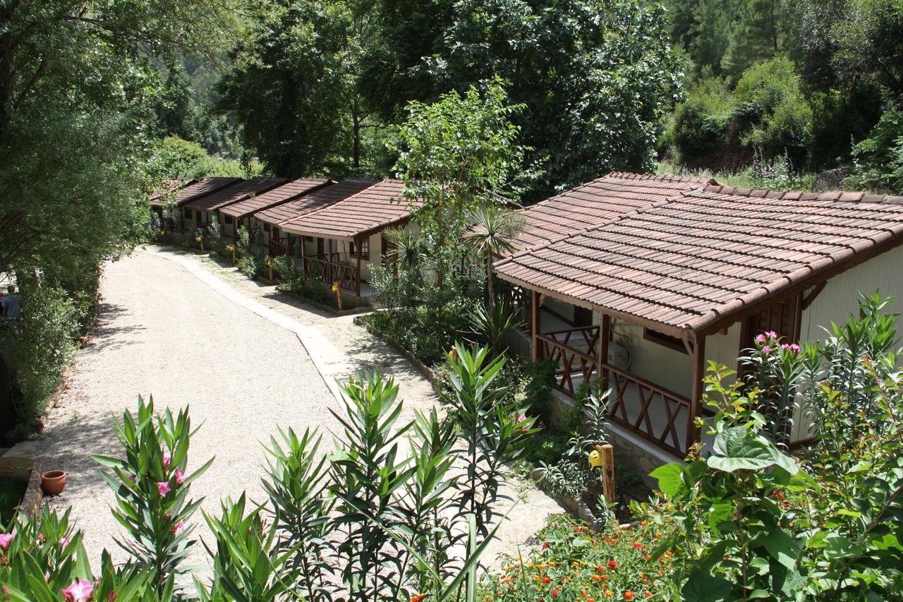 Hôtel Eco Family Park à Beskonak Extérieur photo