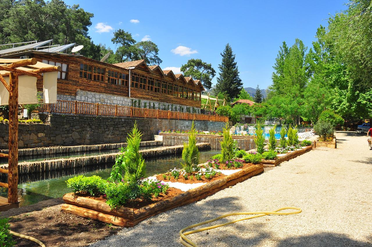 Hôtel Eco Family Park à Beskonak Extérieur photo