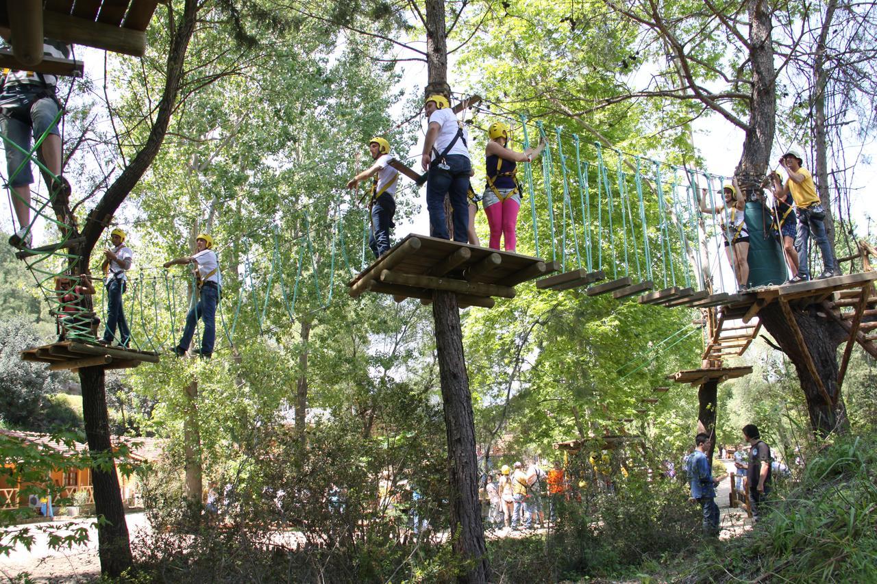 Hôtel Eco Family Park à Beskonak Extérieur photo