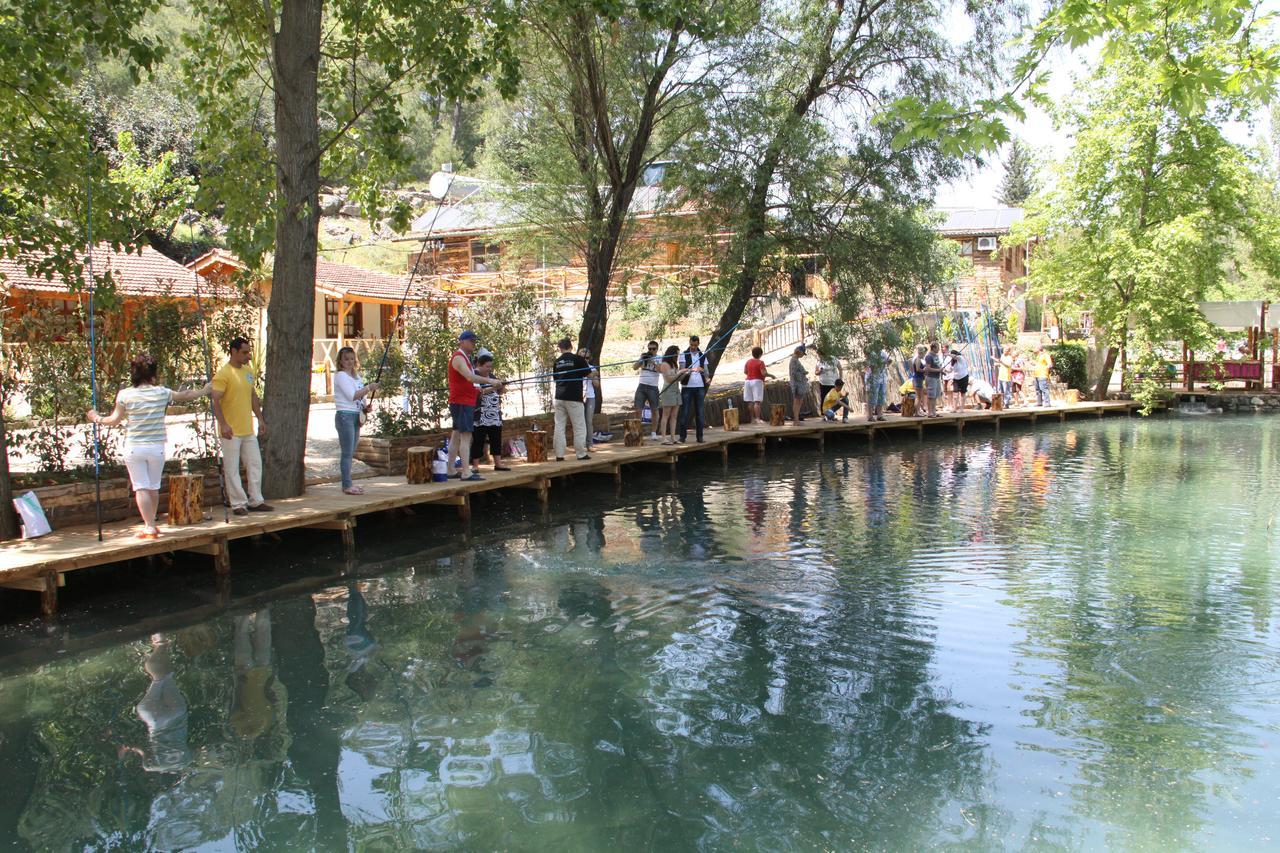 Hôtel Eco Family Park à Beskonak Extérieur photo