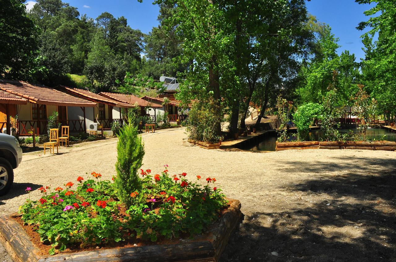 Hôtel Eco Family Park à Beskonak Extérieur photo