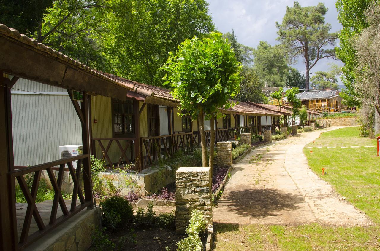 Hôtel Eco Family Park à Beskonak Extérieur photo