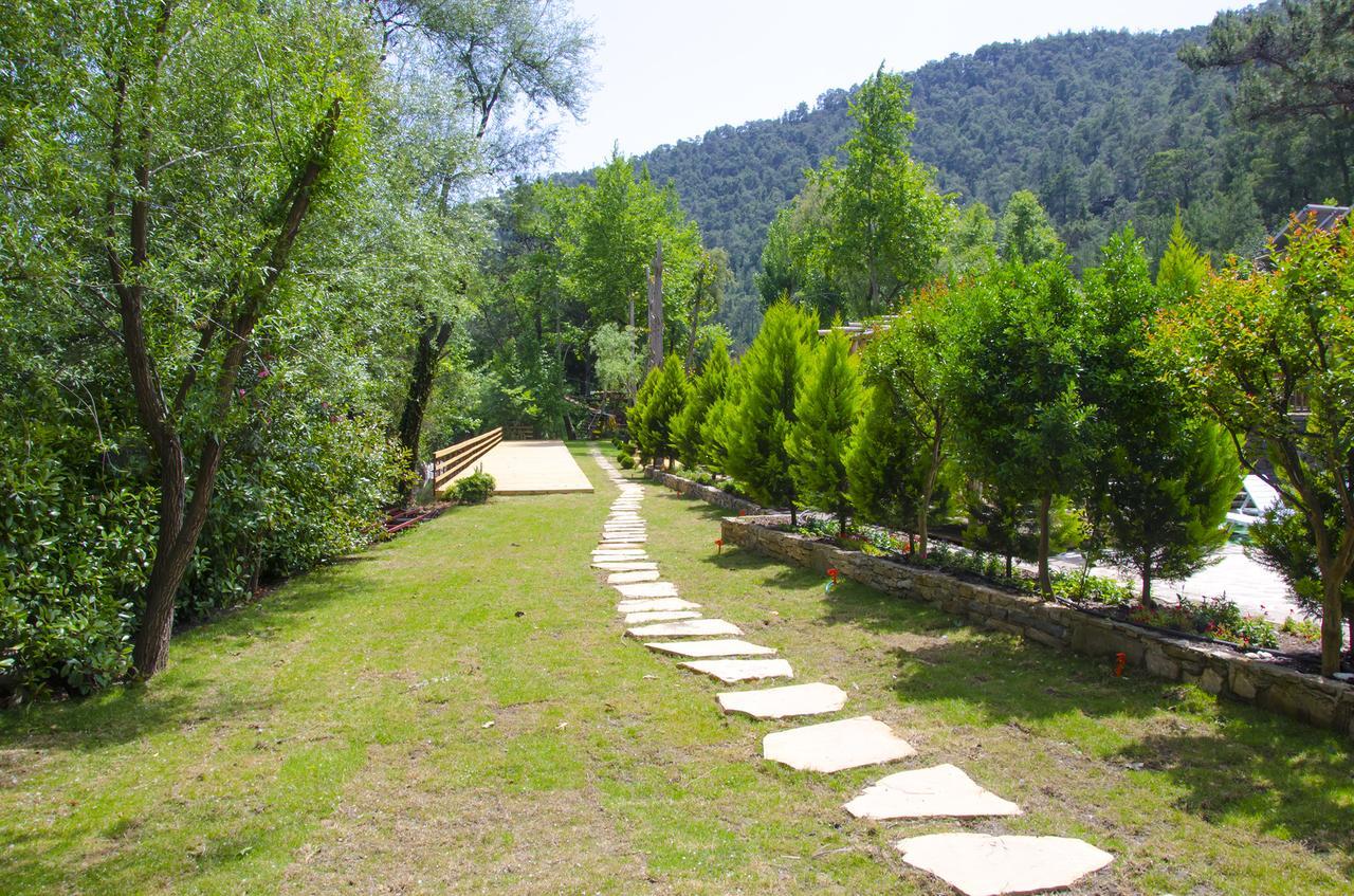 Hôtel Eco Family Park à Beskonak Extérieur photo