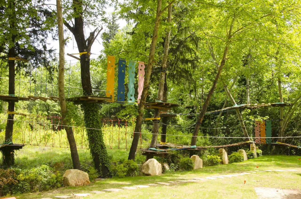 Hôtel Eco Family Park à Beskonak Extérieur photo