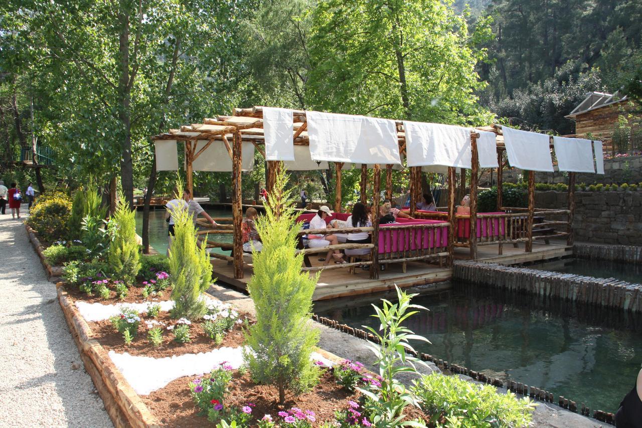 Hôtel Eco Family Park à Beskonak Extérieur photo