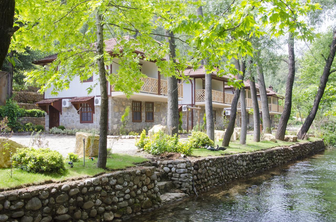 Hôtel Eco Family Park à Beskonak Extérieur photo