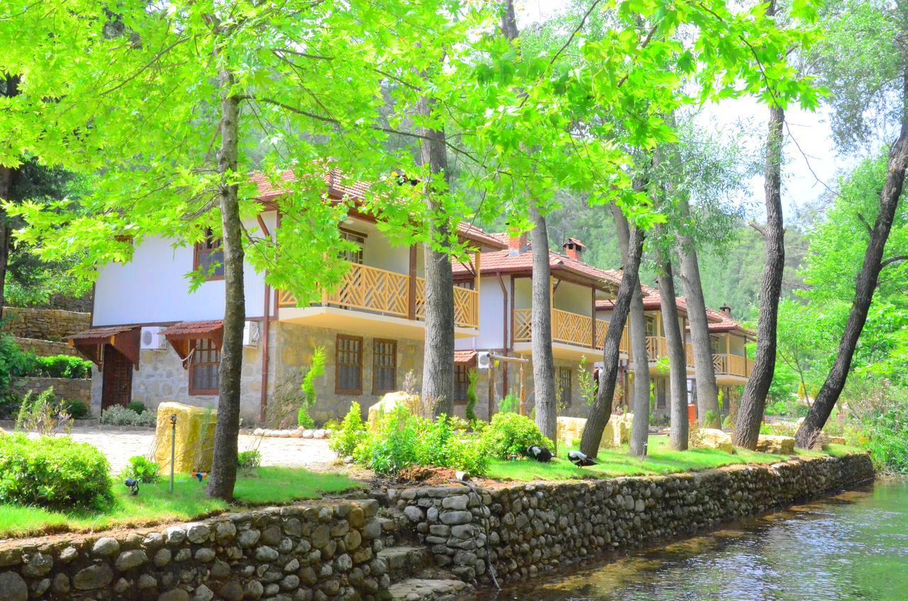 Hôtel Eco Family Park à Beskonak Extérieur photo